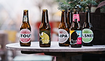 image of beer bottles